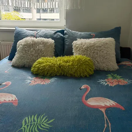 Silver * נובי סאד